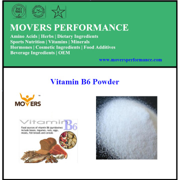 Supply High Quality Natural Vitamin B6